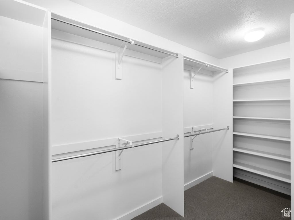 Walk in closet with dark carpet