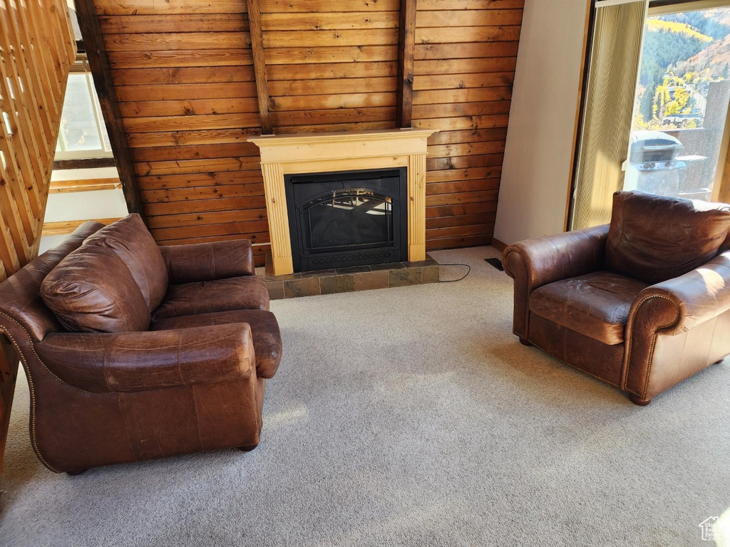 Living room with wood walls and carpet flooring