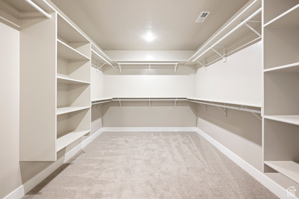 Walk in closet with carpet floors