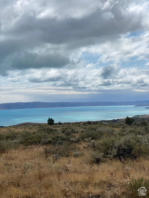 View of local wilderness featuring a water view