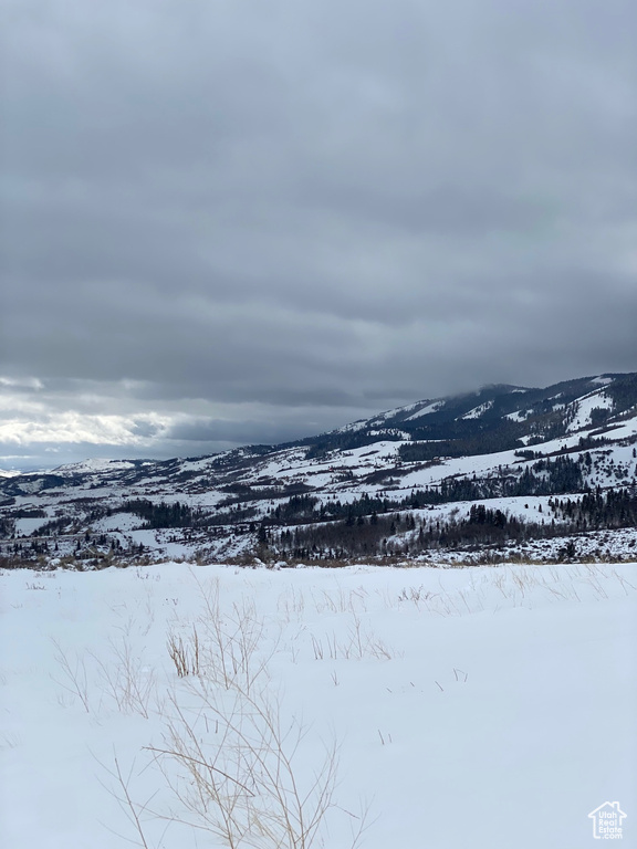 Property view of mountains