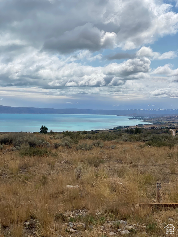 View of local wilderness featuring a water view