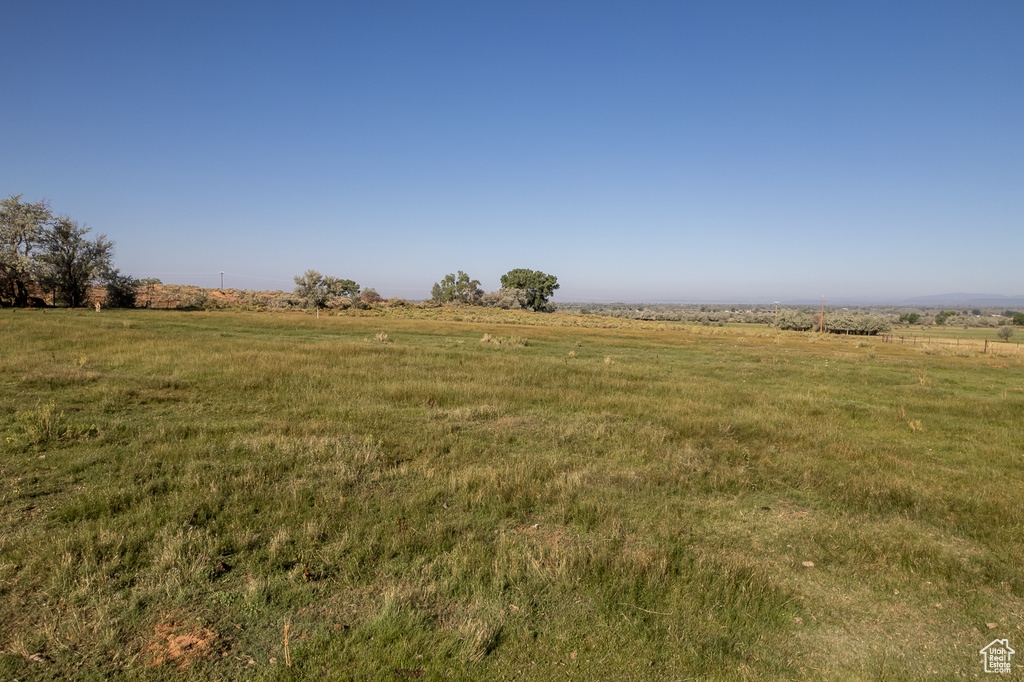 View of local wilderness featuring a rural view