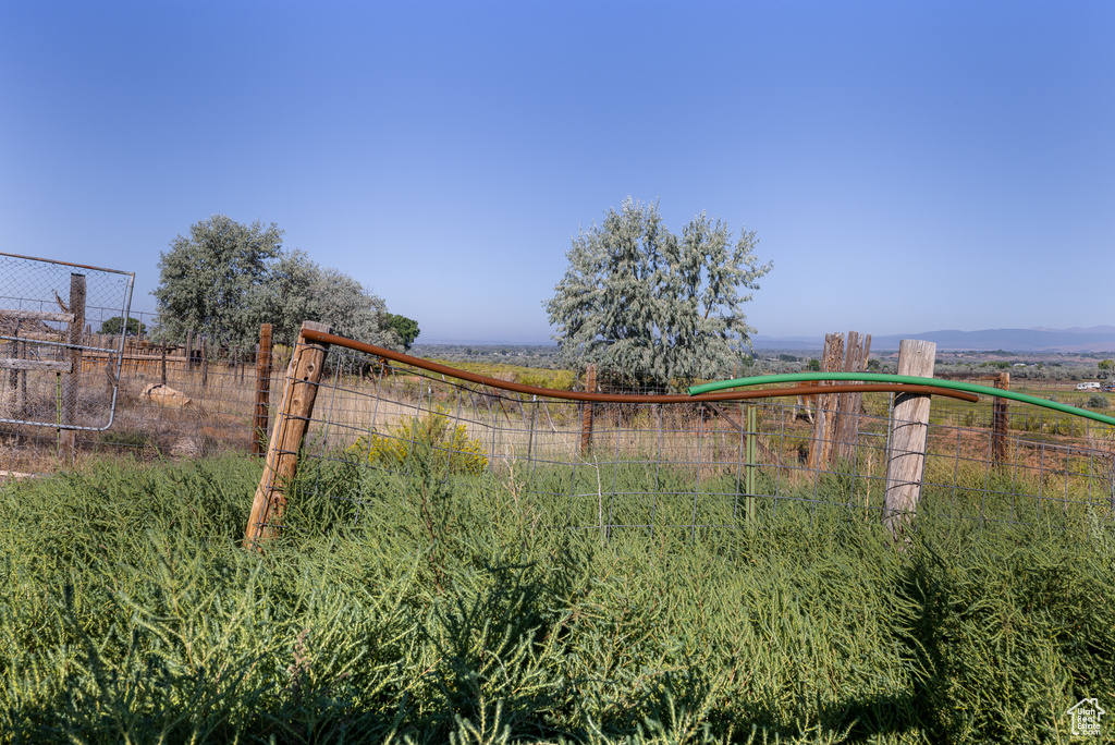View of yard with a rural view