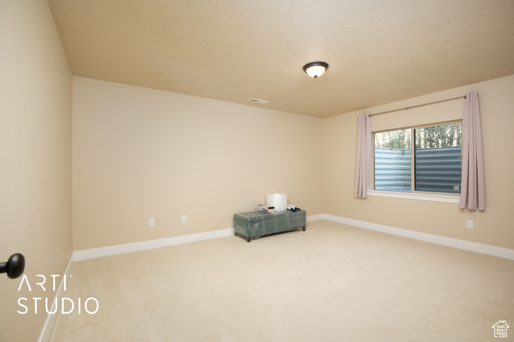 Interior space with a textured ceiling and carpet flooring