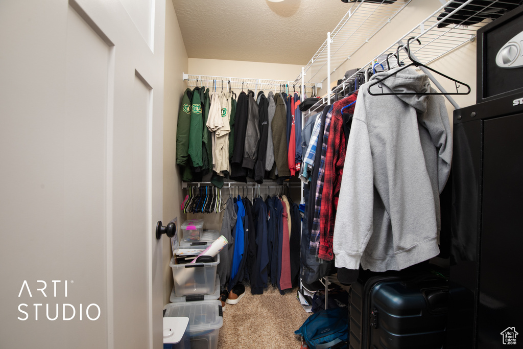 Spacious closet with carpet flooring