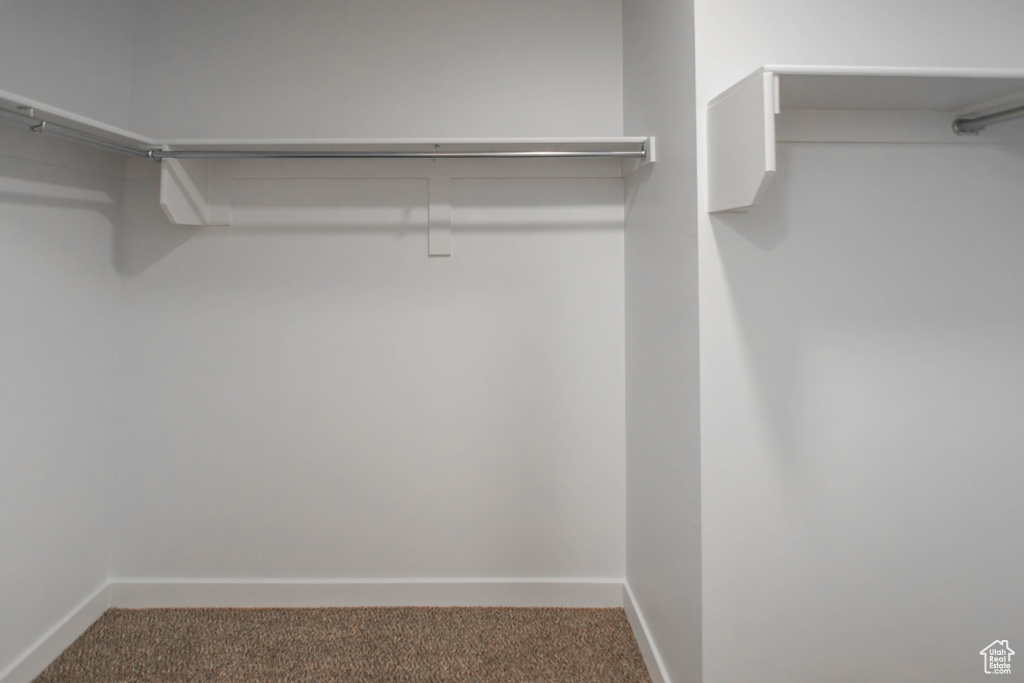 Spacious closet featuring carpet flooring