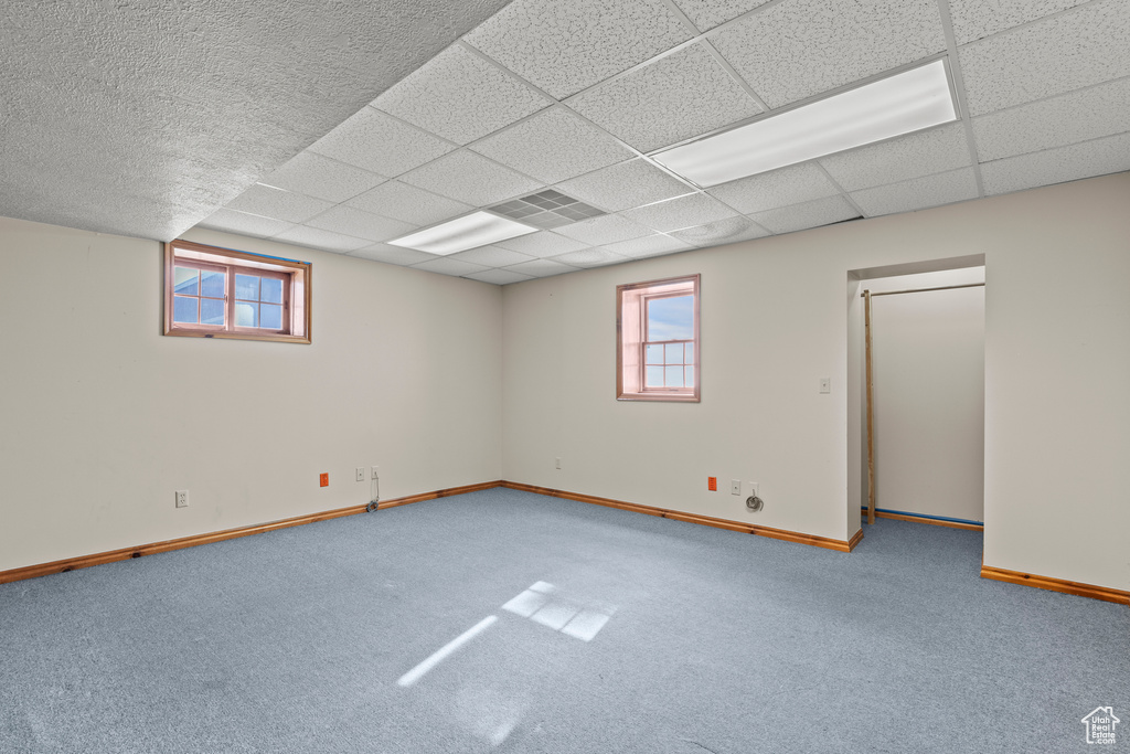 Below grade area with carpet, baseboards, and a drop ceiling