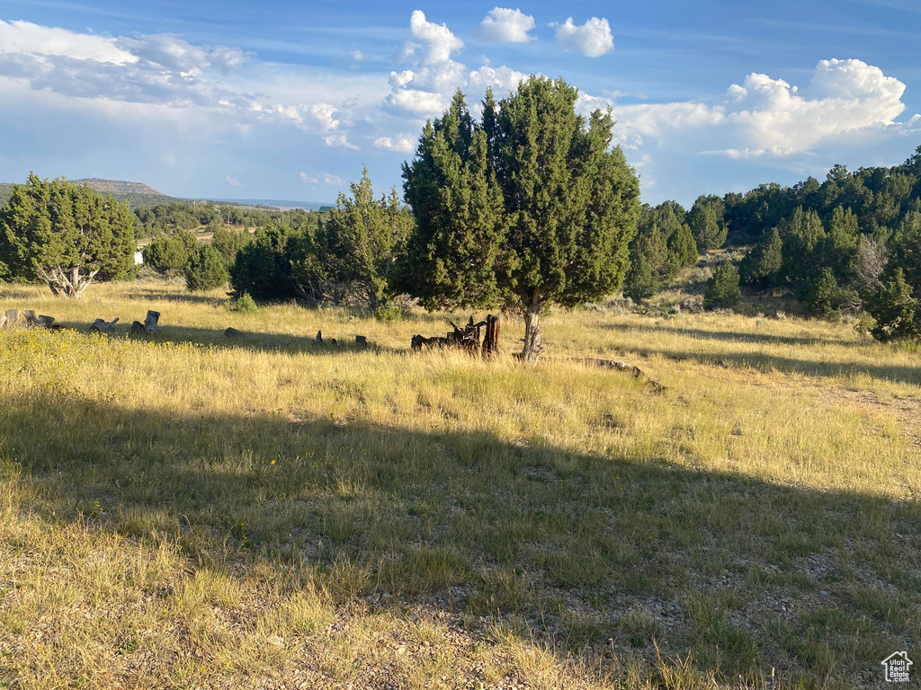 View of nature with a rural view