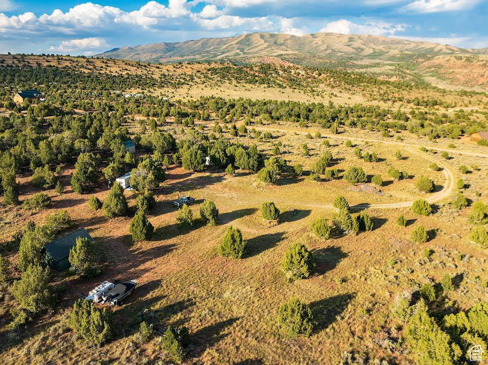 Aerial view with a mountain view