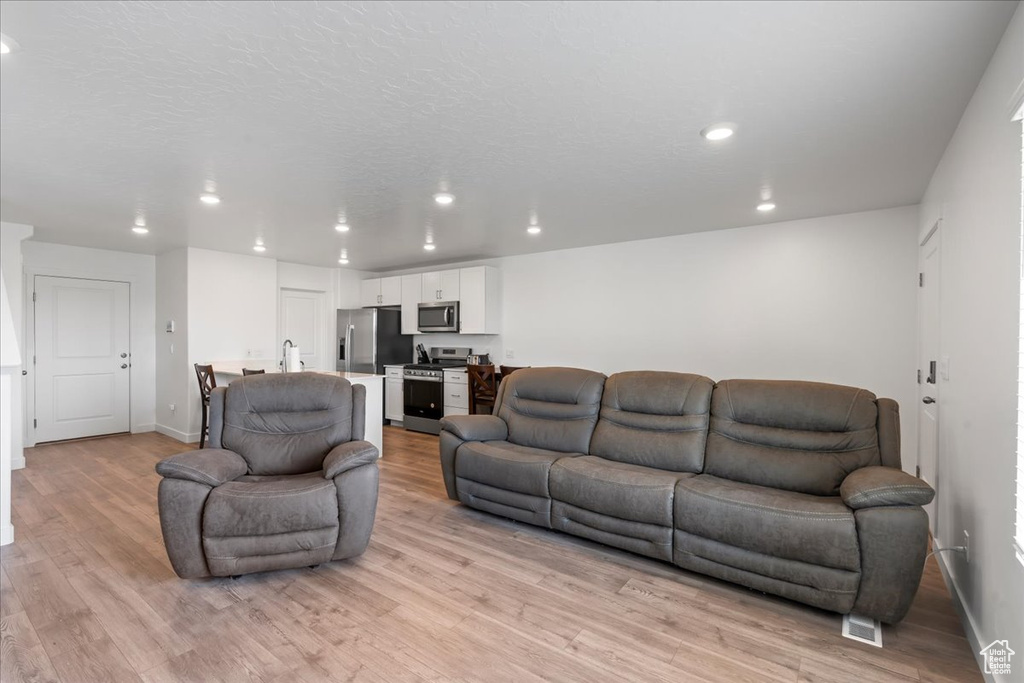 Living room with sink, a textured ceiling, and light hardwood / wood-style flooring