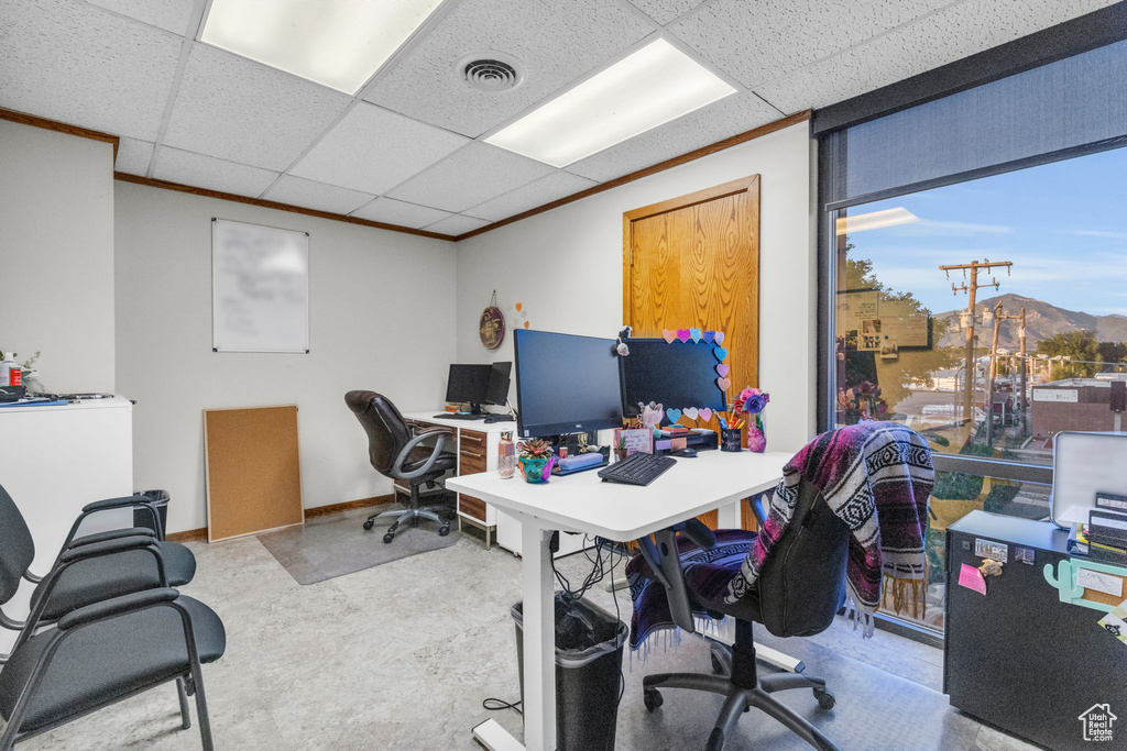 Carpeted home office with ornamental molding and a paneled ceiling