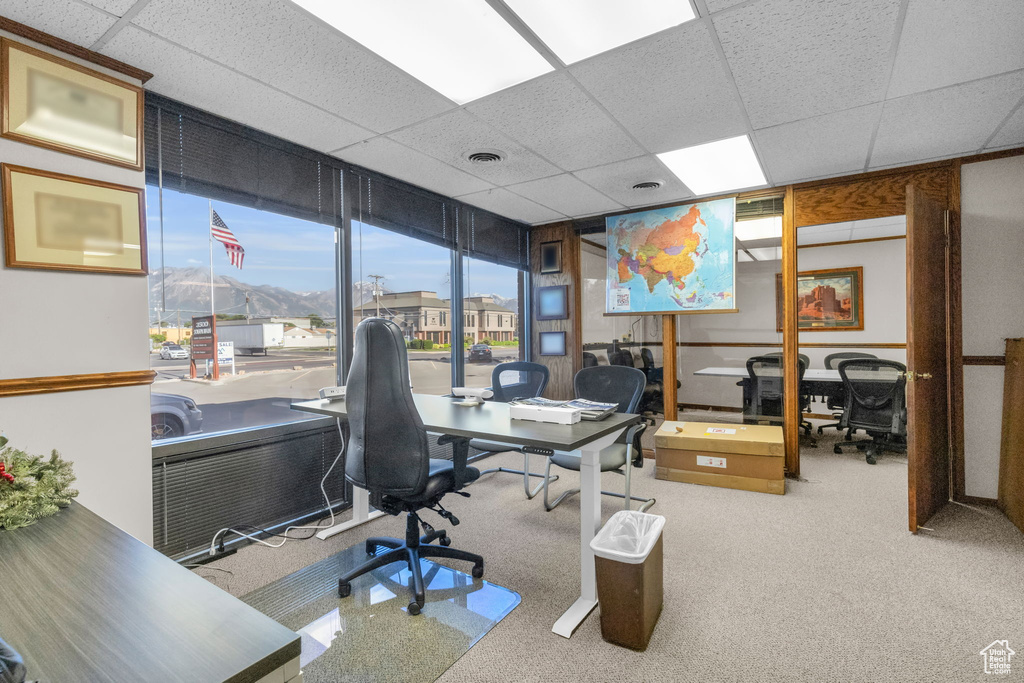 Office space featuring carpet flooring and a drop ceiling