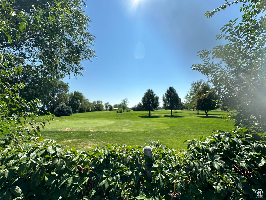 View of community with a yard