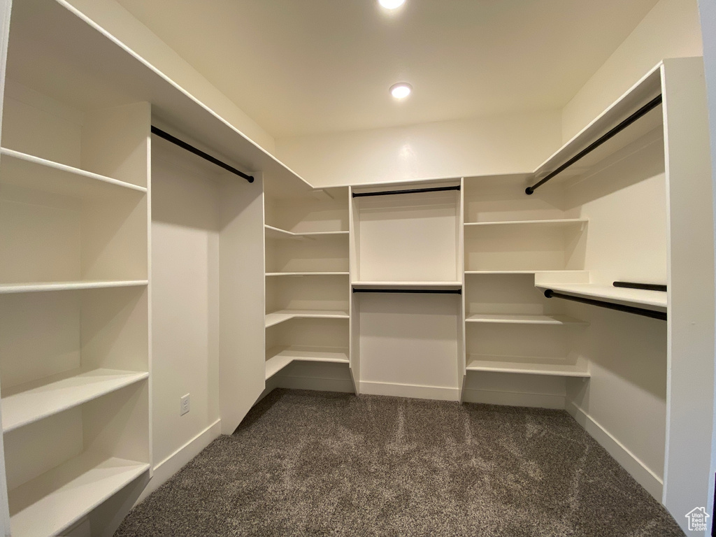 Spacious closet featuring dark carpet