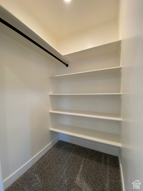 Spacious closet featuring carpet flooring