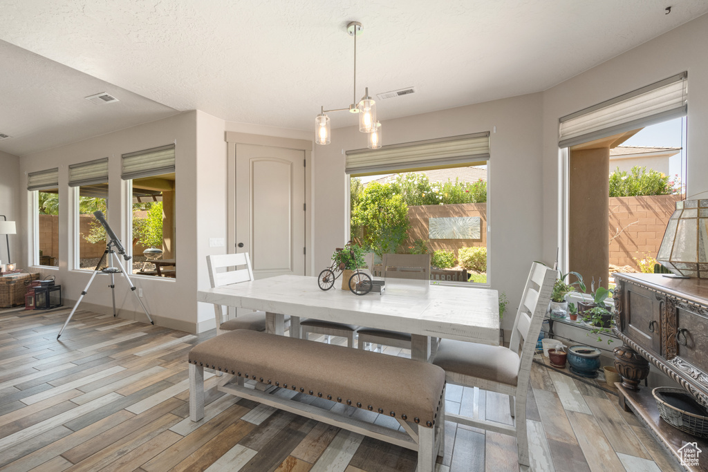 Dining area with a healthy amount of sunlight and wood-type flooring