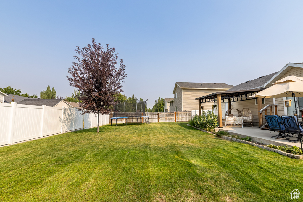 View of yard featuring a patio area and a trampoline