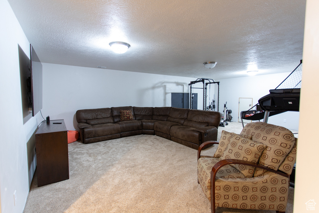 Carpeted living room featuring a textured ceiling