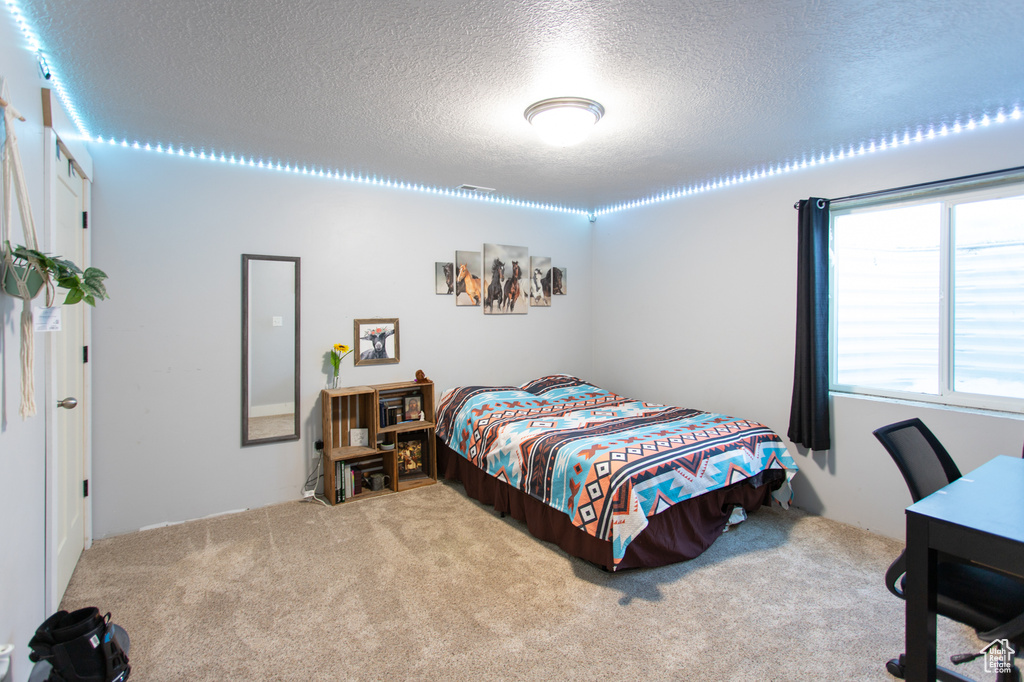 Carpeted bedroom featuring a textured ceiling