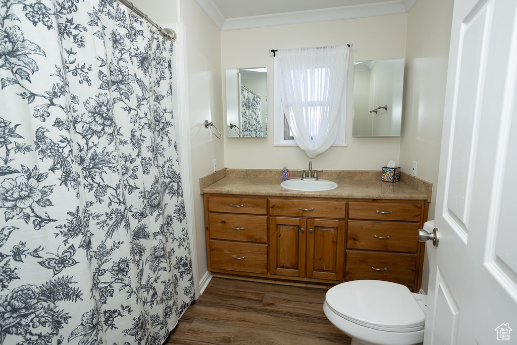 Bathroom with vanity, toilet, ornamental molding, and wood-type flooring