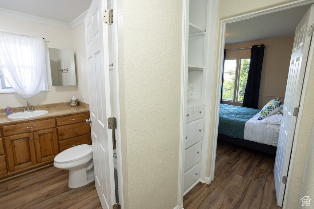 Bathroom with ornamental molding, vanity, toilet, and hardwood / wood-style floors