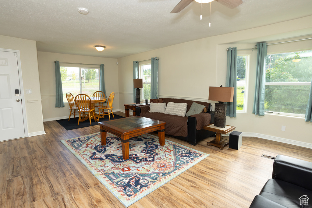 Living room featuring a textured ceiling, ceiling fan, and wood-type flooring