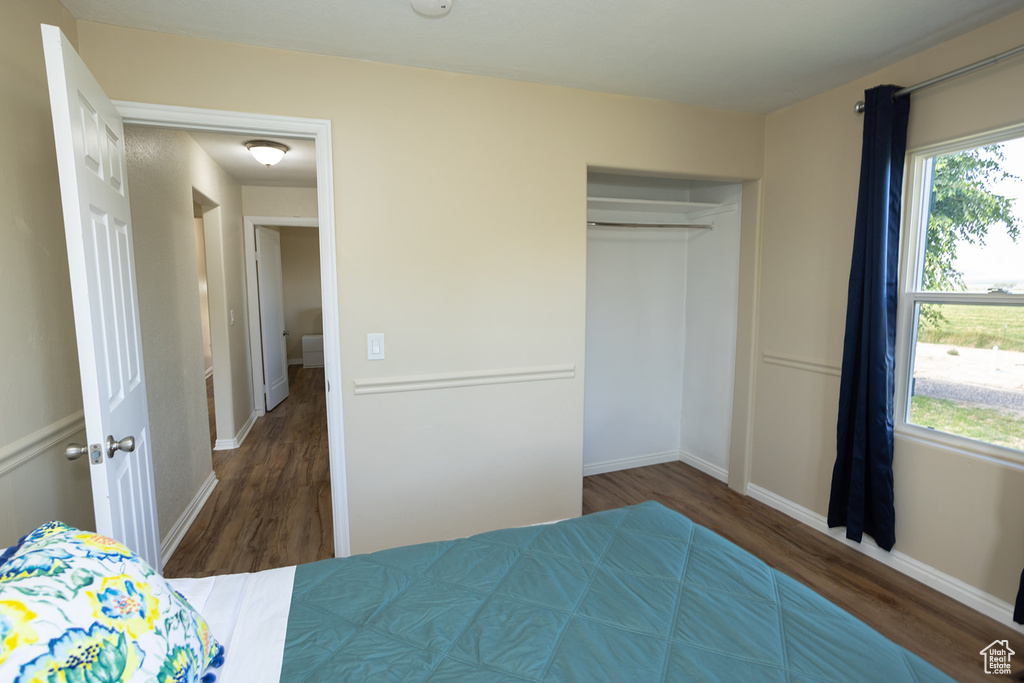 Bedroom with a closet and dark hardwood / wood-style flooring