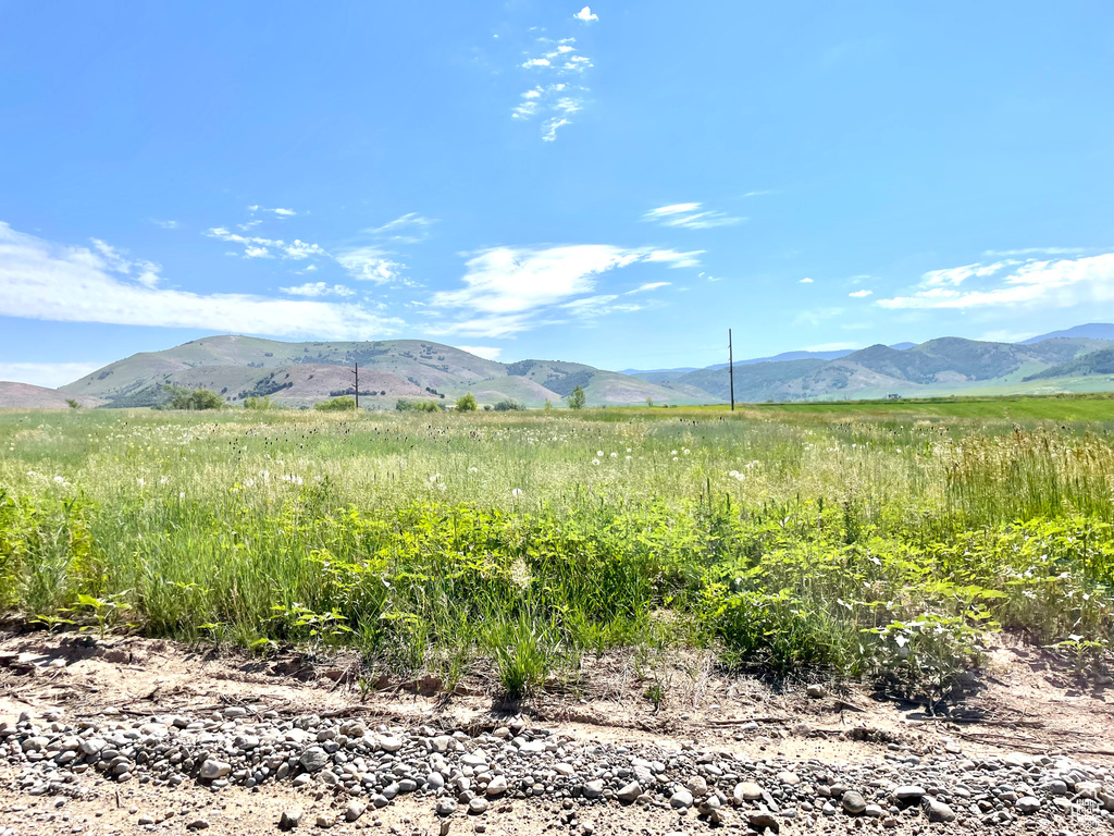 603 N 2200 E Preston, ID 83263