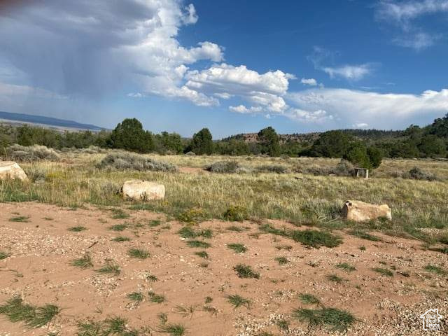 View of local wilderness featuring a rural view