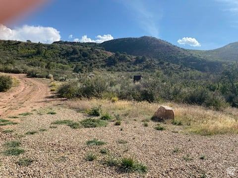 Property view of mountains