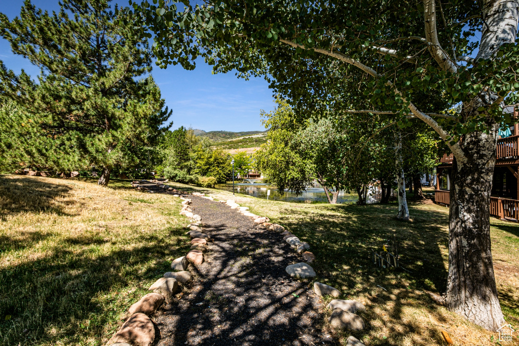 View of road