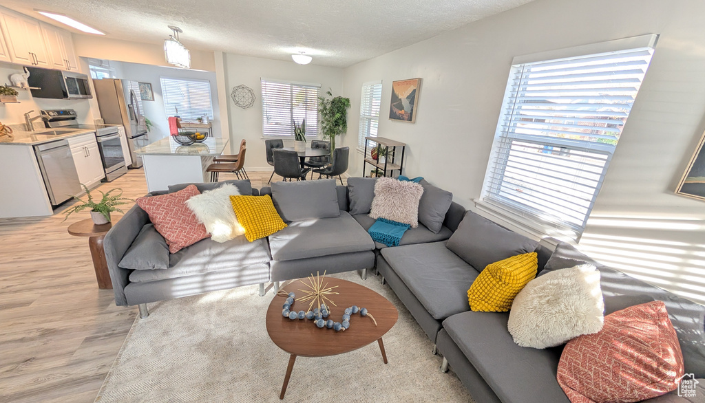 Living room with a wealth of natural light, light hardwood / wood-style flooring, and a textured ceiling