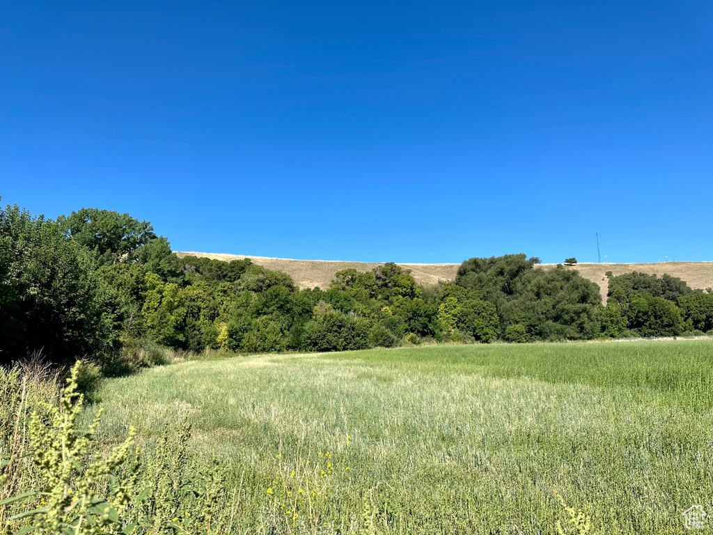 View of local wilderness with a rural view