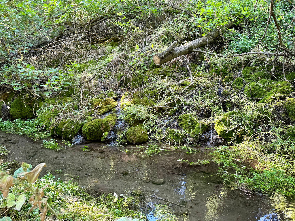 View of landscape