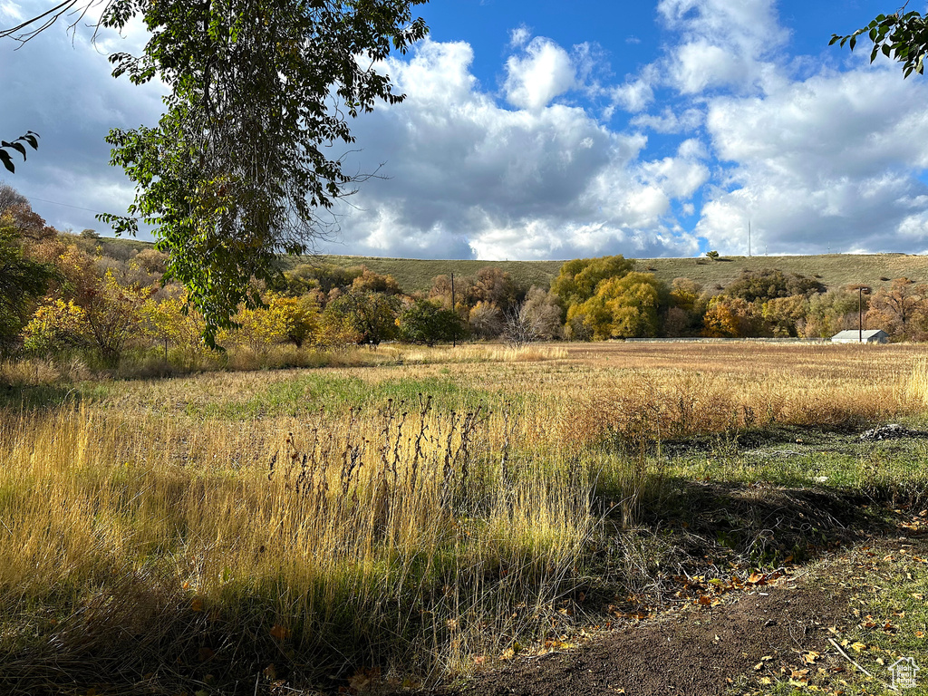 View of local wilderness with a rural view