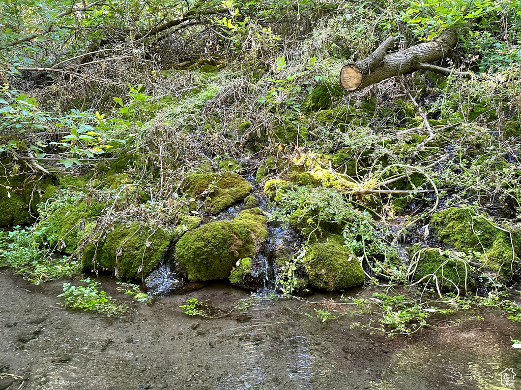 View of nature