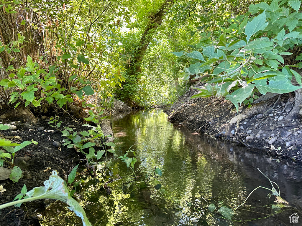 View of nature