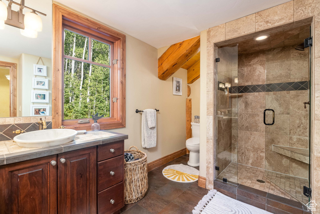 Bathroom featuring vanity, toilet, and a shower with shower door