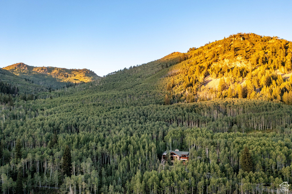 Mountain view