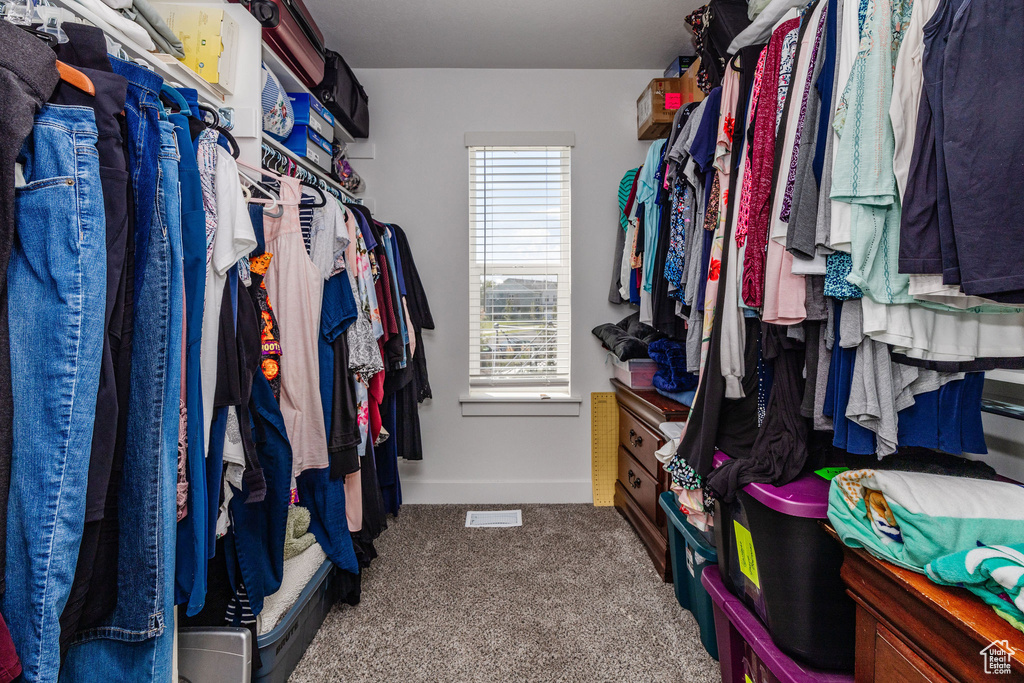 Spacious closet featuring carpet flooring