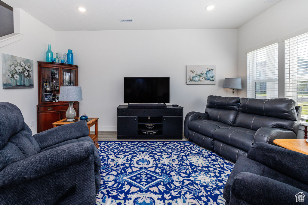 Living room featuring wood-type flooring