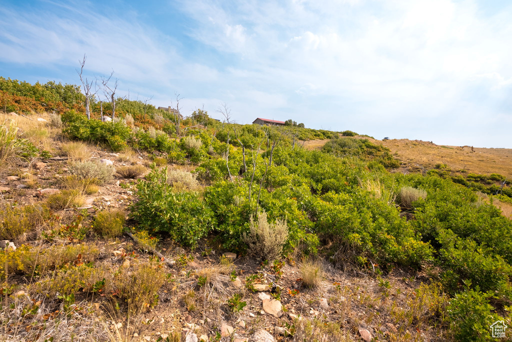 View of landscape