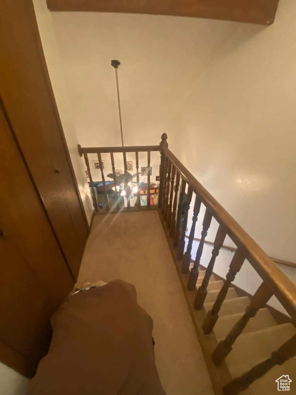 Stairs with carpet flooring