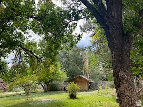 View of yard with a storage shed