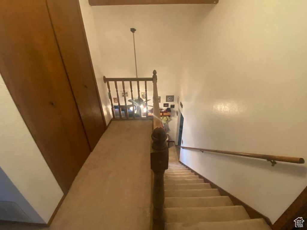 Stairs with carpet floors