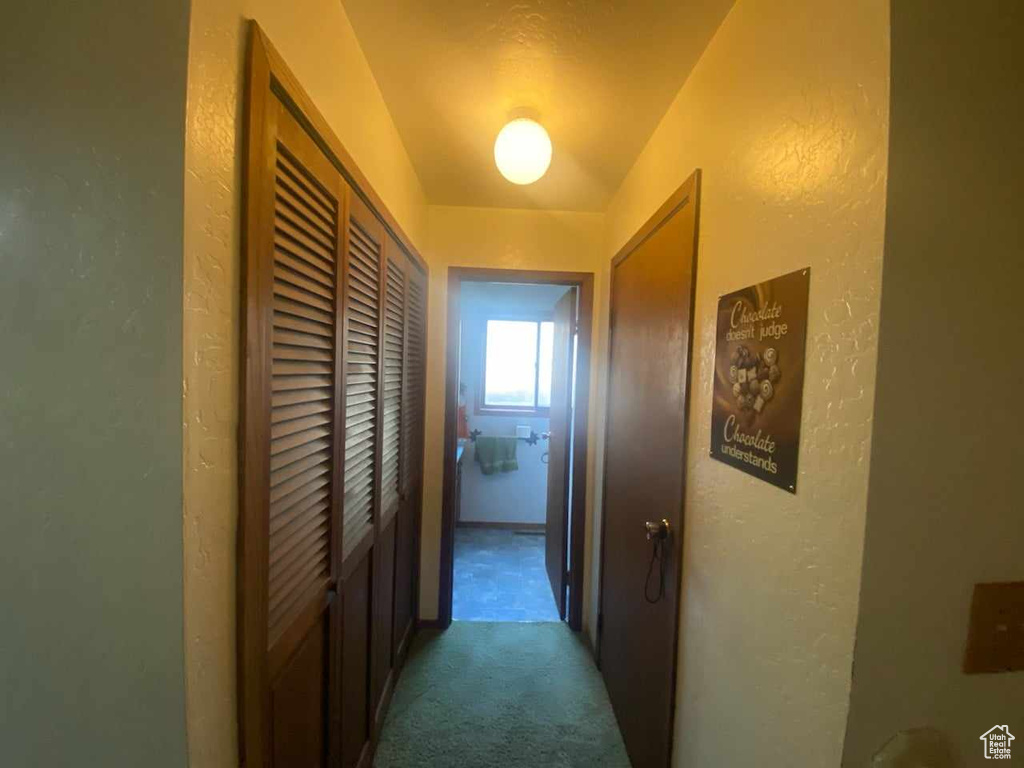 Hallway featuring carpet