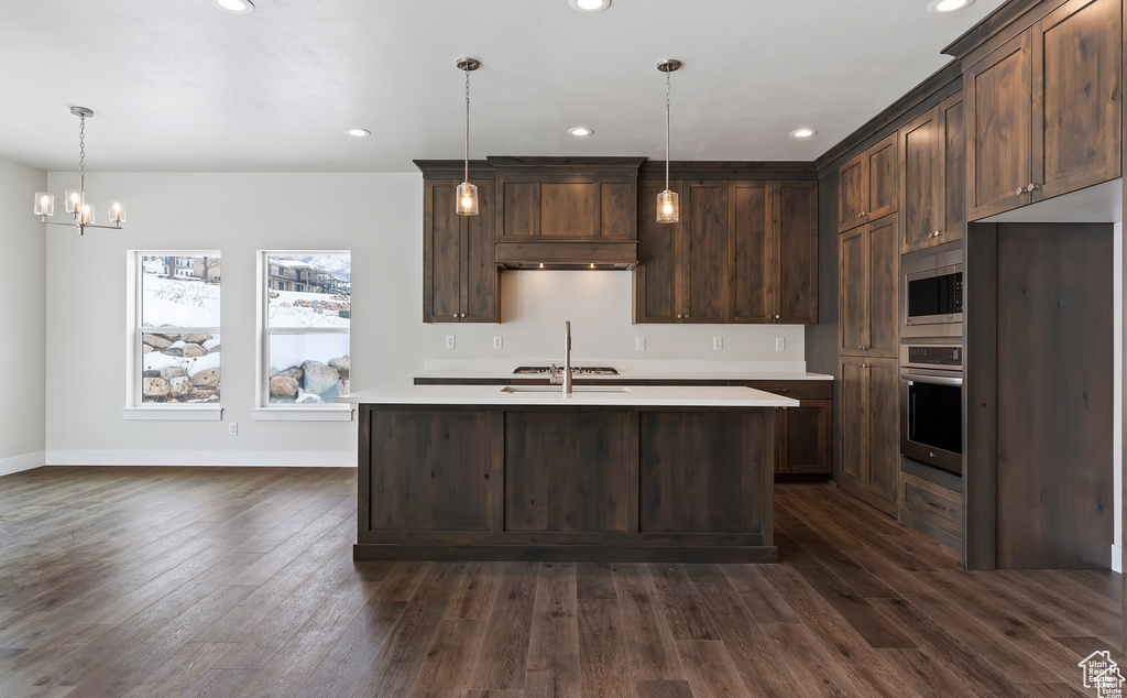 Kitchen with stainless steel appliances, dark hardwood / wood-style flooring, an island with sink, and dark brown cabinets