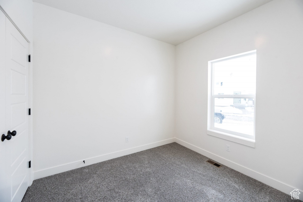 Carpeted spare room featuring plenty of natural light