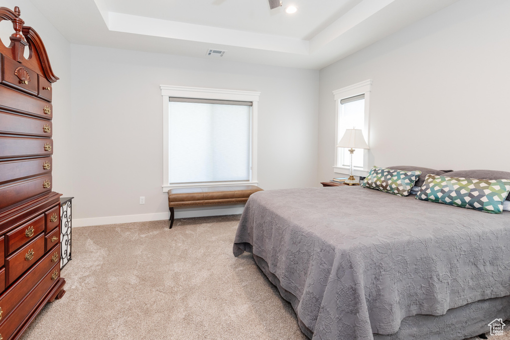 Carpeted bedroom with a tray ceiling and a skylight